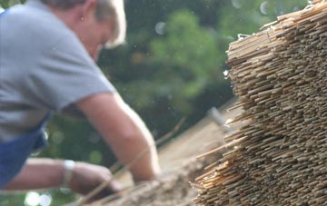 professional Redpoint thatchers