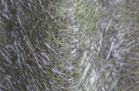 Redpoint fibreglass roof work